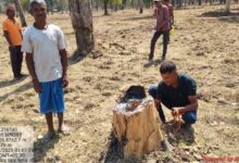 Udanti Sitanadi Tiger Reserve में अतिक्रमण की कोशिश नाकाम, वन विभाग ने 22 लोगों को किया गिरफ्तार