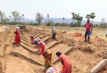 मनरेगा ई-केवाईसी में छत्तीसगढ़ नंबर-1, 97.11% सक्रिय श्रमिकों को मिली सुविधा