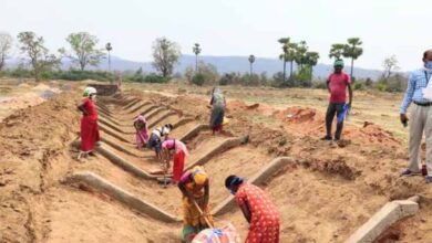 मनरेगा ई-केवाईसी में छत्तीसगढ़ नंबर-1, 97.11% सक्रिय श्रमिकों को मिली सुविधा