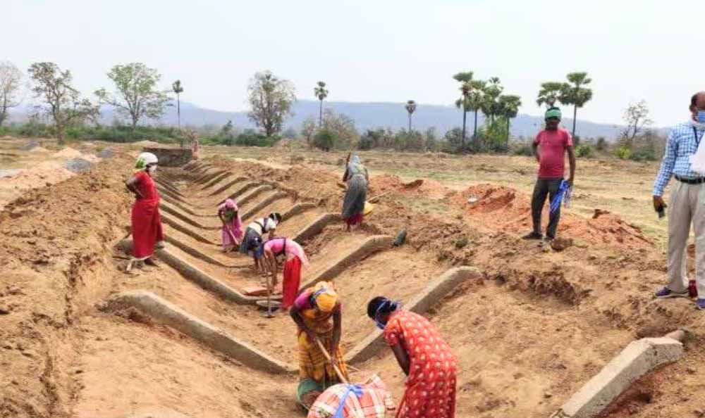 मनरेगा ई-केवाईसी में छत्तीसगढ़ नंबर-1, 97.11% सक्रिय श्रमिकों को मिली सुविधा