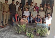 जगदलपुर में वन विभाग टीम पर हमला, तोतों की अवैध बिक्री पर कार्रवाई के दौरान हंगामा