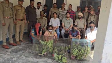 जगदलपुर में वन विभाग टीम पर हमला, तोतों की अवैध बिक्री पर कार्रवाई के दौरान हंगामा