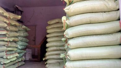 Bastar में खाद-बीज घोटाले की बड़ी जांच: करोड़ों के खेल में जनपद पंचायत अफसरों की भूमिका संदिग्ध