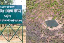 उदंती सीतानदी टाइगर रिजर्व में ‘फायर-वॉटर’ मॉडल का कमाल, 750 जल स्रोत और हाईटेक निगरानी से जंगल सुरक्षित