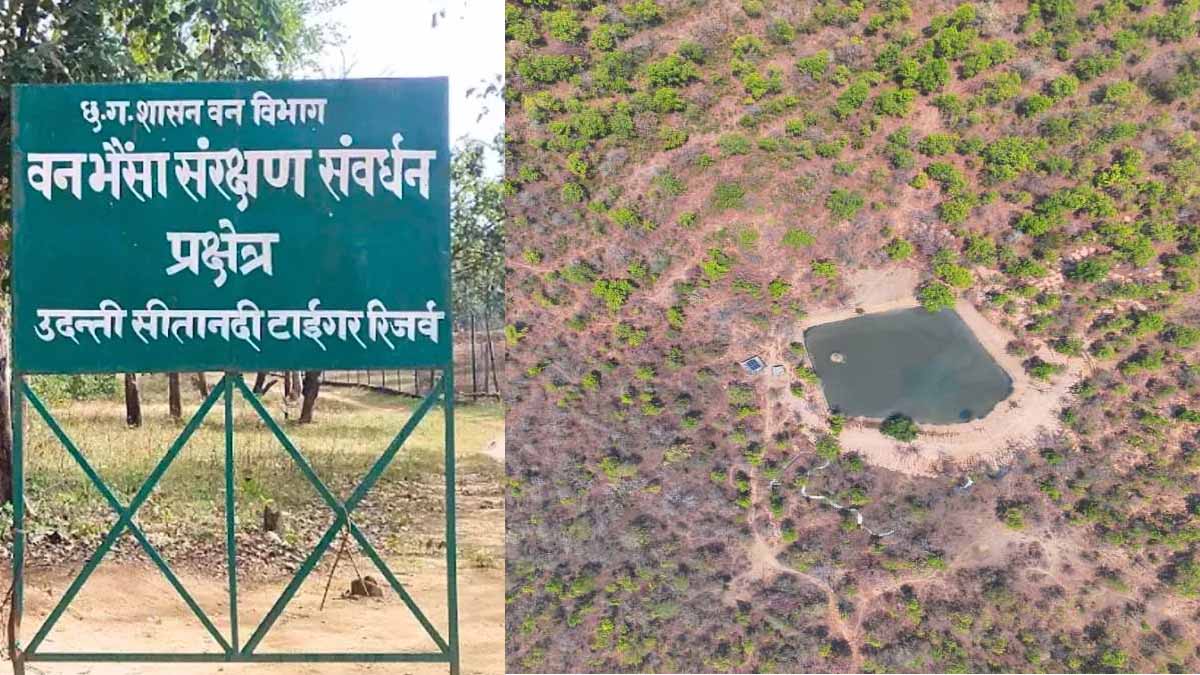 उदंती सीतानदी टाइगर रिजर्व में ‘फायर-वॉटर’ मॉडल का कमाल, 750 जल स्रोत और हाईटेक निगरानी से जंगल सुरक्षित