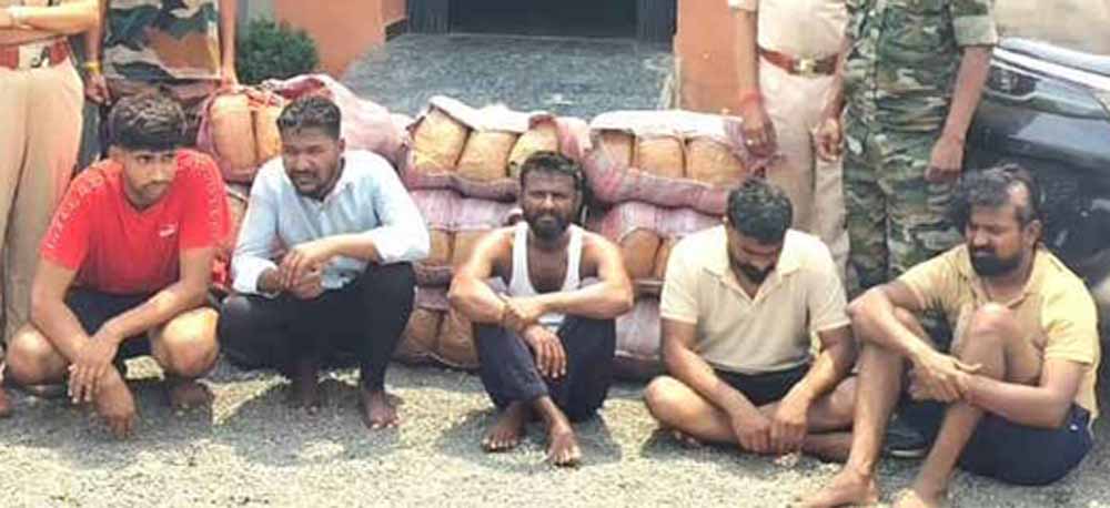 महासमुंद में बड़ा ड्रग्स ऑपरेशन: डेढ़ करोड़ का गांजा जब्त, 5 तस्कर गिरफ्तार