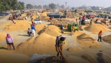 धान खरीदी स्टॉक में 2.54 करोड़ की गड़बड़ी: मुंगेली केंद्र प्रभारी पर FIR दर्ज