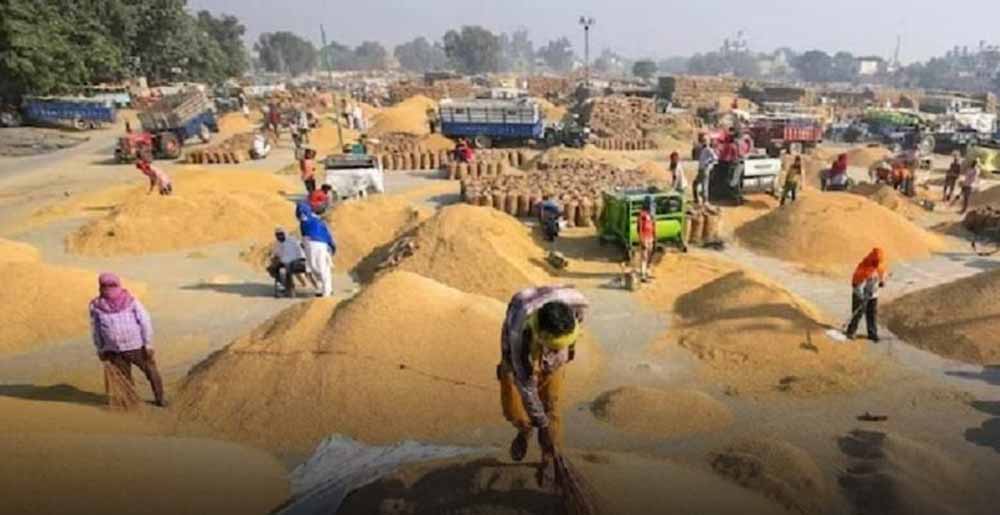 धान खरीदी स्टॉक में 2.54 करोड़ की गड़बड़ी: मुंगेली केंद्र प्रभारी पर FIR दर्ज