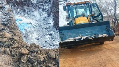 छत्तीसगढ़ में अफ्रीकन स्वाइन फीवर का कहर: 200 सूअरों की मौत, रिपोर्ट पॉजिटिव आते ही फार्म सील