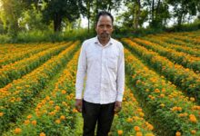 फूलों की खुशबू से महकी किस्मत ईश्वरचरण पैकरा का