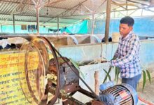 मजदूरी की बेड़ियां तोड़ ‘मल्टी-फार्मिंग’ के नायक बने ललित यादव