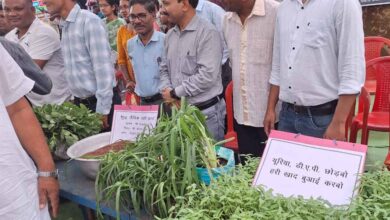 हरी खाद से बदल रही खेती की तस्वीर: कम लागत, बेहतर मुनाफा और स्वस्थ मिट्टी’ हरी खाद से बदल रही खेती की तस्वीर: कम लागत, बेहतर मुनाफा और स्वस्थ मिट्टी’