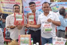 लैलूंगा की पहचान बना ‘केलो’ जैविक जंवाफूल चावल