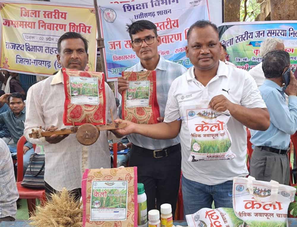 लैलूंगा की पहचान बना ‘केलो’ जैविक जंवाफूल चावल