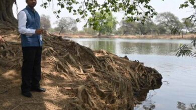 जिला प्रशासन की अनूठी पहल, नहरों के पानी से लबालब हुए 450 तालाब