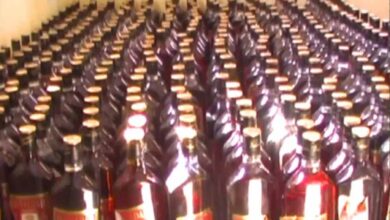 मुरैना में नाला शराब से भर गया, नजारा देखकर लोग हुए दंग