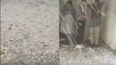 ग्वालियर में मौसम का यू-टर्न: धूप के बाद ओलों की मार, ‘बर्फबारी’ जैसे नजारे से सहमा शहर