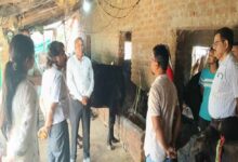 पशुओं में नस्ल सुधार का कार्य बेहतर ढंग से करें : प्रमुख सचिव  उमराव