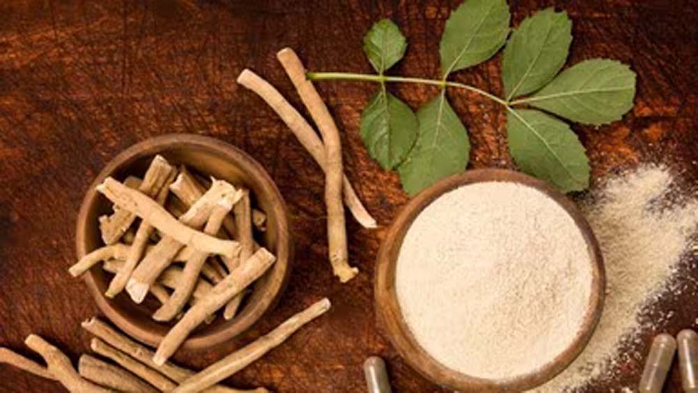 FSSAI का बड़ा फैसला: अश्वगंधा की पत्तियों पर रोक क्यों? जानें जड़ के फायदे और नुकसान