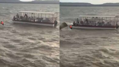 बरगी डैम में बड़ा हादसा: क्रूज पलटा, 4 की मौत; 14 को बचाया गया, रेस्क्यू जारी