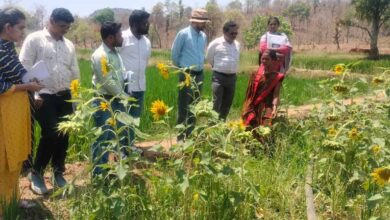 दीदी के बखरी से बदल रही तस्वीर : कांकेर में महिला किसानों की आय में क्रान्तिकारी