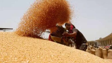 2 दिन में किसानों को 6 करोड़ 37 लाख का भुगतान