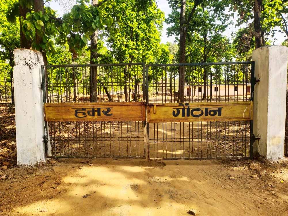 धोवाताल की 60 महिलाओं ने रची आत्मनिर्भरता की मिसाल धोवाताल की 60 महिलाओं ने रची आत्मनिर्भरता की मिसाल