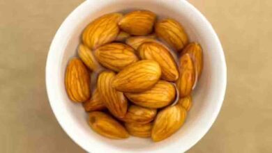न्यूरोलॉजिस्ट ने बताए बादाम खाने के 4 सबसे सही तरीके, दिमाग की ताकत और याददाश्त बढ़ाने के लिए ऐसे करें सेवन