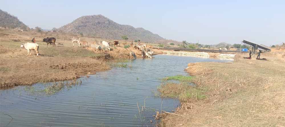 मनरेगा से पनारी नाले का जीर्णोद्धार: 1200 ग्रामीणों को पेयजल व सिंचाई का लाभ