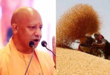 सरकार ने असमय बारिश से प्रभावित गेहूं पर दी राहत, पूरे प्रदेश में शिथिल मानकों के साथ होगी खरीद