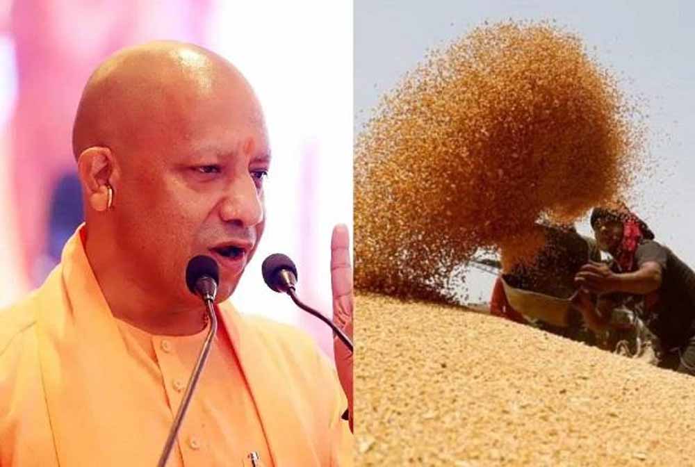 सरकार ने असमय बारिश से प्रभावित गेहूं पर दी राहत, पूरे प्रदेश में शिथिल मानकों के साथ होगी खरीद