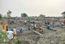 सर्वाधिक परिवारो को रोजगार, सर्वाधिक मानव दिवस का रोजगार सहित सर्वाधिक दिव्यांगजनों को रोजगार देने के मामले में कबीरधाम प्रदेश में प्रथम स्थान पर