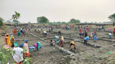 सर्वाधिक परिवारो को रोजगार, सर्वाधिक मानव दिवस का रोजगार सहित सर्वाधिक दिव्यांगजनों को रोजगार देने के मामले में कबीरधाम प्रदेश में प्रथम स्थान पर