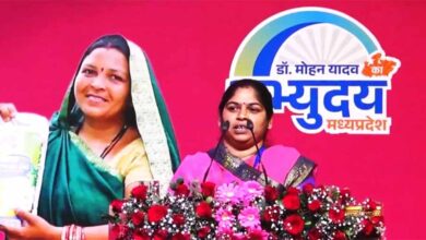 हौसलों की उड़ान: हवाई जहाज़ से उड़ान भरने वाली गांव की पहली बहू मीनाक्षी