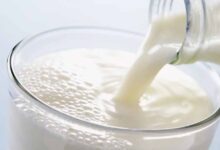 17 से होगा दुग्ध स्वर्ण महोत्सव-2026: एक साथ एकत्र होंगे 10 हजार पशुपालक/दुग्ध उत्पादक