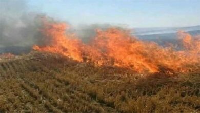 नरवाई जलाना खेत और सेहत दोनों के लिए हानिकारक : कृषि मंत्री कंषाना