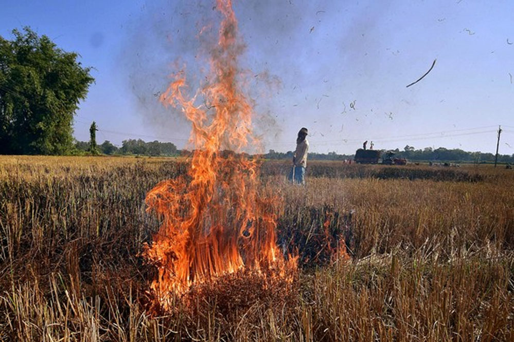 नरवाई में आग की 1016 घटनाएं, 19 किसानों पर 57 हजार जुर्माना, 852 को चिह्नित किया गया