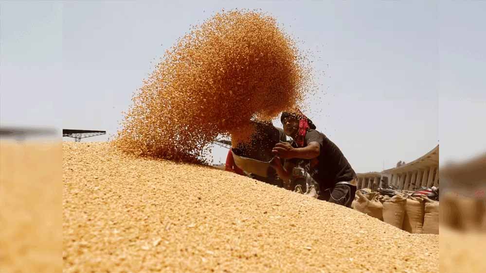 मुख्यमंत्री ने गेहूं खरीद में किसानों को दी बड़ी राहत