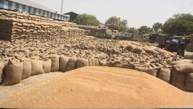 सभी संभागों में गेहूँ का उपार्जन शुरू : खाद्य मंत्री राजपूत