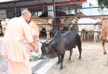 सीएम योगी के निर्देश पर चार बड़ी महत्वाकांक्षी योजनाएं पूरे प्रदेश में लागू, ग्रामीण अर्थव्यवस्था को मिलेगी नई ताकत