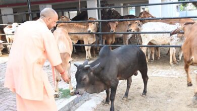 सीएम योगी के निर्देश पर चार बड़ी महत्वाकांक्षी योजनाएं पूरे प्रदेश में लागू, ग्रामीण अर्थव्यवस्था को मिलेगी नई ताकत