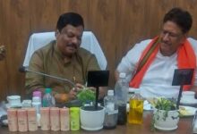 सतावर की खेती से किसानों की होगी बंपर कमाई, खेत की मेड़ बनेगी अतिरिक्त आय का जरिया