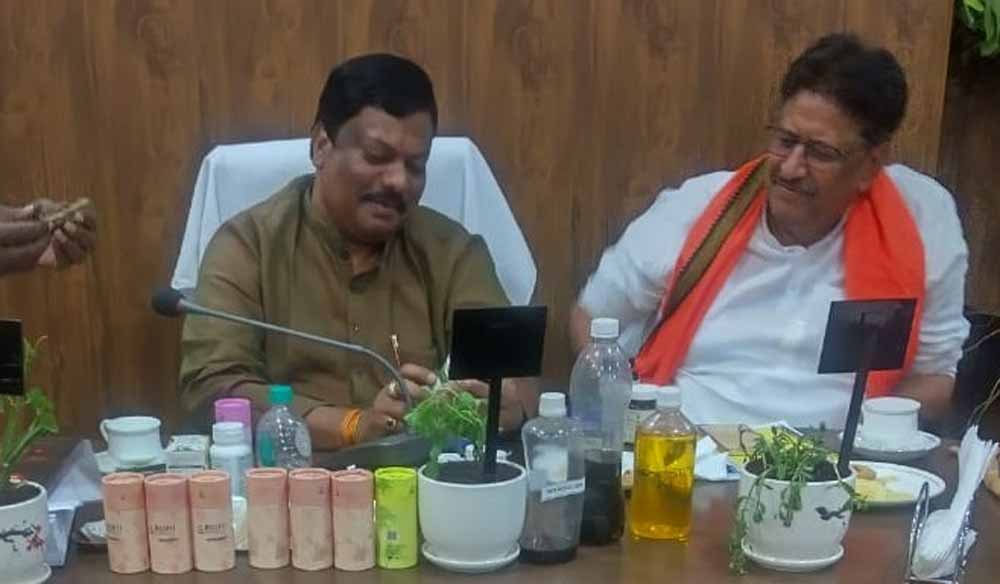 सतावर की खेती से किसानों की होगी बंपर कमाई, खेत की मेड़ बनेगी अतिरिक्त आय का जरिया