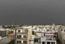 लखनऊ में तूफान का कहर: दिन में छाया अंधेरा, सैकड़ों पेड़ गिरे