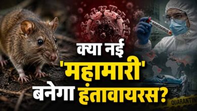 क्रूज शिप पर हंतावायरस का कहर, 3 मौतों के बाद WHO ने जारी किया अलर्ट क्रूज शिप पर हंतावायरस का कहर, 3 मौतों के बाद WHO ने जारी किया अलर्ट