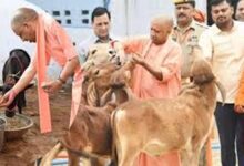 गोसंरक्षण से ग्रामोदय तक, योगी सरकार का बदलता उत्तर प्रदेश मॉडल