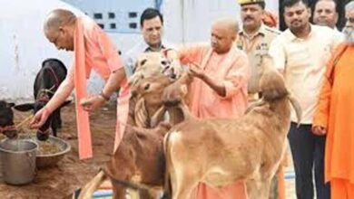 गोसंरक्षण से ग्रामोदय तक, योगी सरकार का बदलता उत्तर प्रदेश मॉडल गोसंरक्षण से ग्रामोदय तक, योगी सरकार का बदलता उत्तर प्रदेश मॉडल