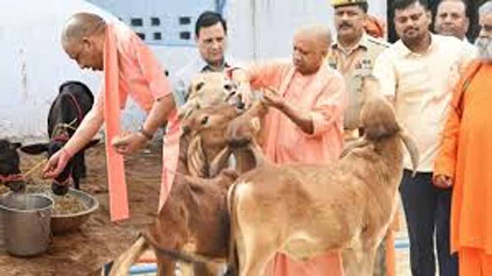 गोसंरक्षण से ग्रामोदय तक, योगी सरकार का बदलता उत्तर प्रदेश मॉडल गोसंरक्षण से ग्रामोदय तक, योगी सरकार का बदलता उत्तर प्रदेश मॉडल
