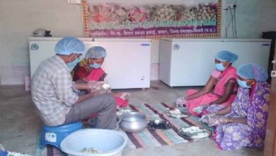 सीताफल उत्पादन एवं प्रसंस्करण से महिला स्व-सहायता समूहों की आर्थिक स्थिति में सुधार