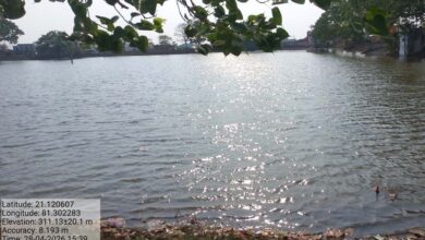 नहरों से सूखते तालाबों में जलभराव:भीषण गर्मी से बड़ी राहत, 4755 तालाब हुए लबालब
